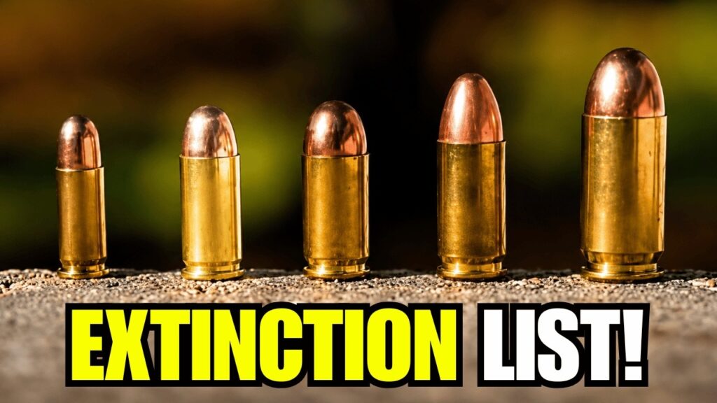 7 Calibers That Will Disappear FIRST in 2026