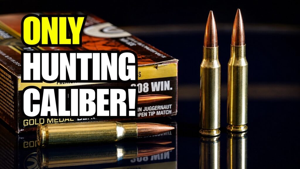 Why The .308 Winchester Is The Strongest “One Hunting Caliber” Pick