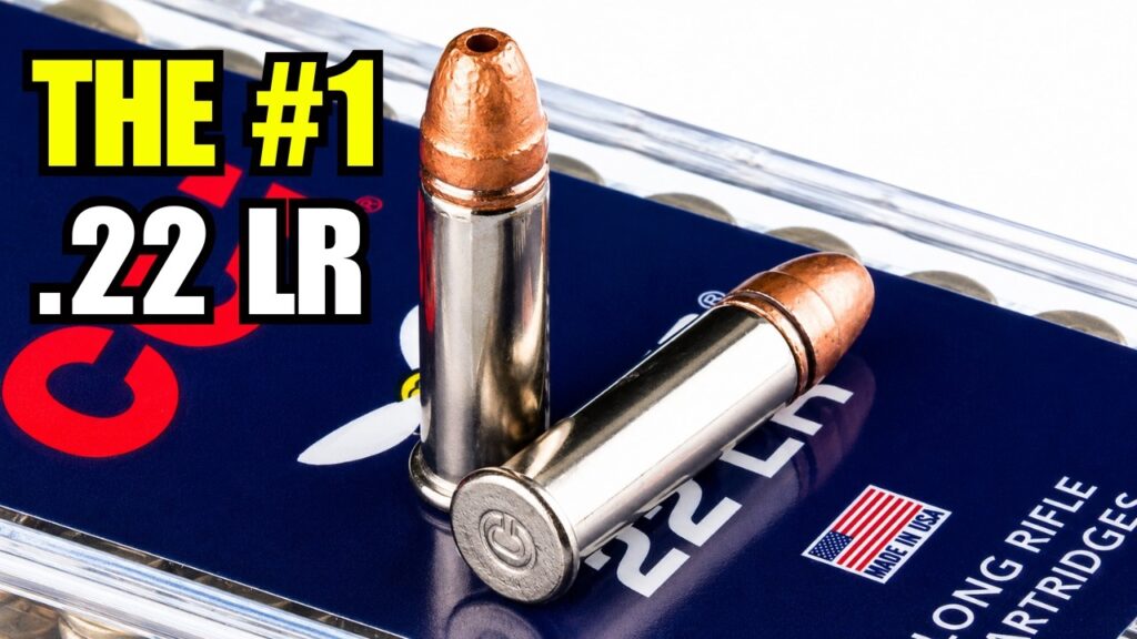 9 Best .22 LR Ammo for Defense, Hunting, and Reliability In 2026