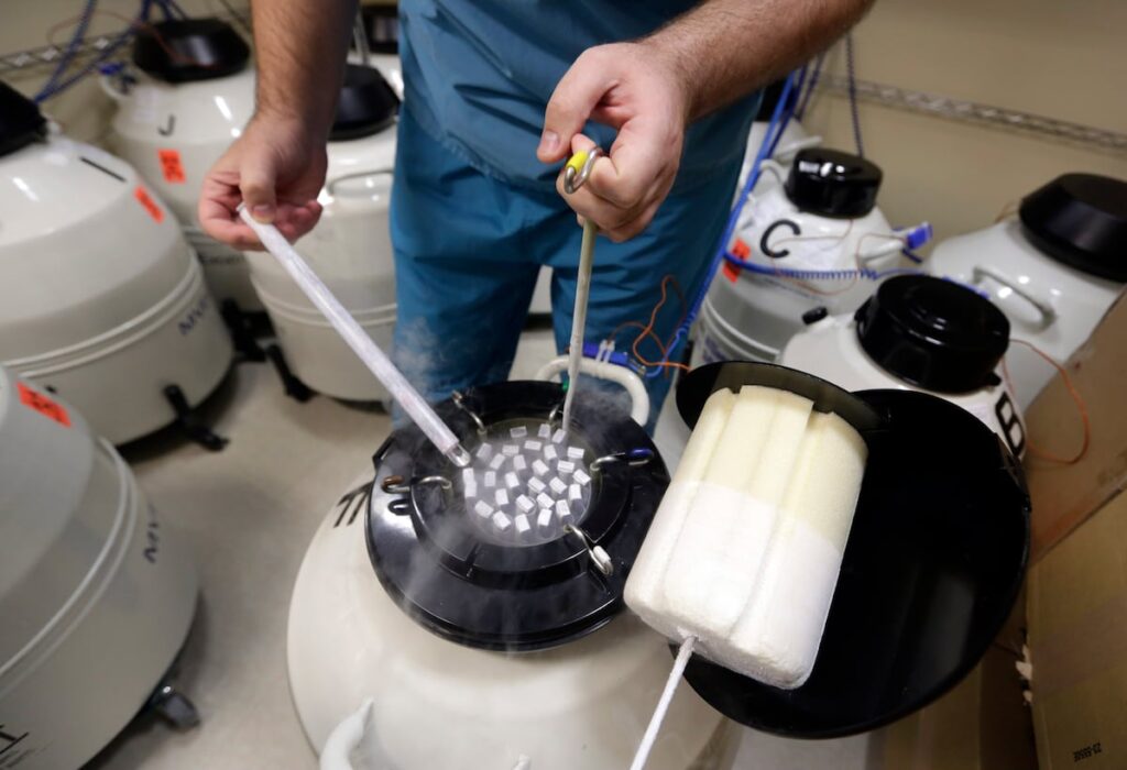 DoD to launch pilot for some service members to freeze sperm, eggs DoD to launch pilot for some service members to freeze sperm, eggs